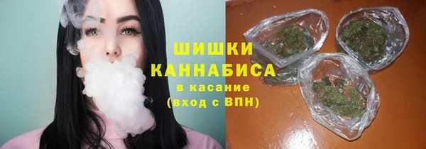 бошки Сясьстрой