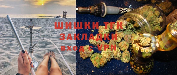 индика Волосово