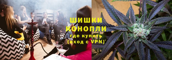 гидра Бронницы
